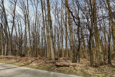 Teren în Corbeanca - 2