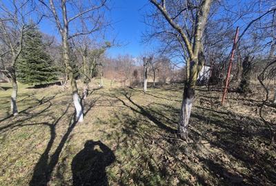 Teren Construcții intravilan de 1280 mp, în Făget - 3