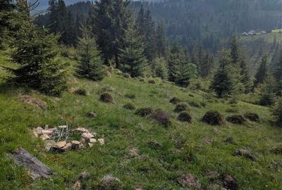 Spațiu comercial, în Poiana Horea - 4