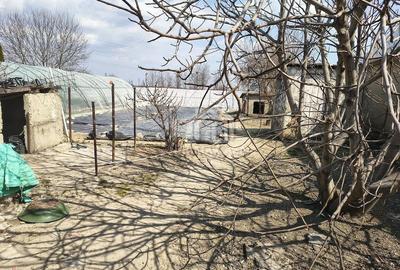 Casă cu Teren 1270 Mp în Transilvaniei - 5