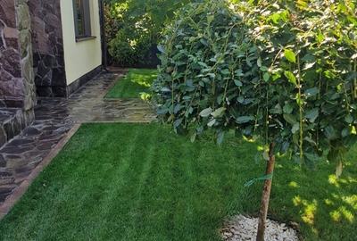 Casă cu 5 camere cu Teren 4000 Mp în Pantelimon - 9