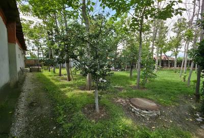Casa Smardioasa cu Garaj si Curte - Centrul comunei (in Teleorman) - 5