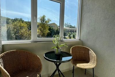 Apartament 1 camera Cornisa UMFST - 3