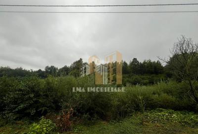 Teren intravilan Sinca Noua - 4