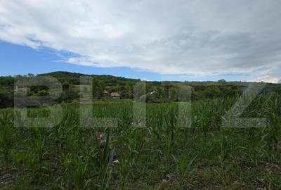 Casa la tara de vanzare, cu 13 ari de teren, la 40 km de Bi - 12