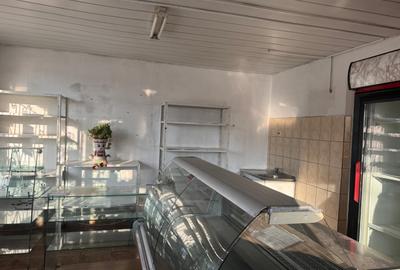 Spațiu comercial, de 50 mp, în Viile Noi - 1