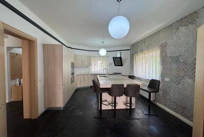 Vila Erou  Iancu Nicolae recent renovata la interior - 2