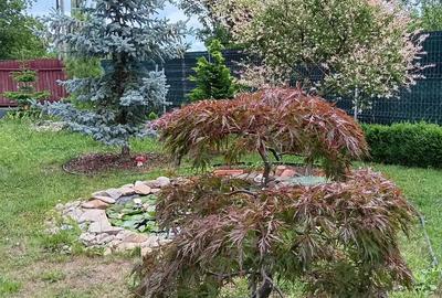 Urgent .Proprietar, parter la casa cu etaj, Mogosesti - Iasi, 10 km - 5