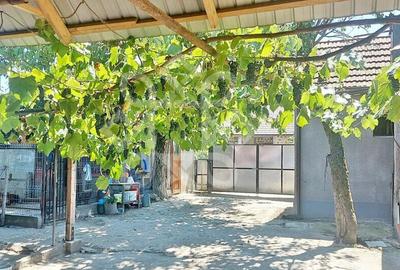 Casa cu teren in Tinca - 12