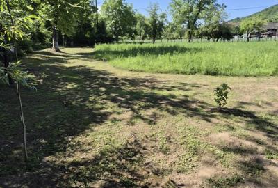 Vind casa in judetul Bihor Luncasprie - 3