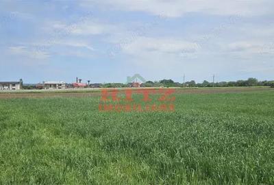 Nou! Teren intravilan S= 4998 mp! - 1