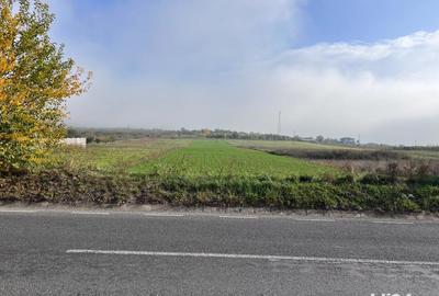 Teren de 5450 mp, în Central - 3