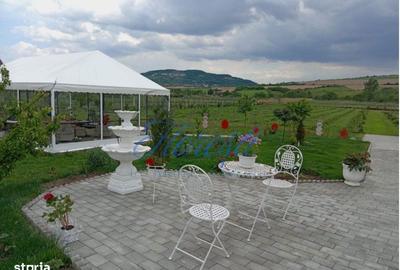 Casă cu 3 camere în Vișea - 4