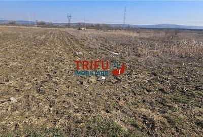 Teren de 6400 mp, în Central