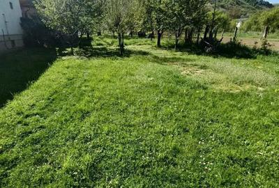 Teren intravilan Luna de Sus - 2