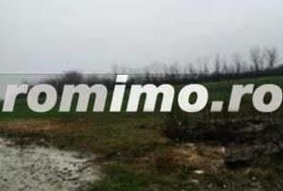 Teren Extravilan Manesti, jud. Prahova - ID: R1979552 - 4