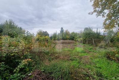 Casa 4 camere 1150 mp teren, la asfalt toate utilitatiile - 7