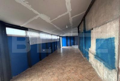 Hala industriala, 60 mp, zona Hanul Craiovitei - 3