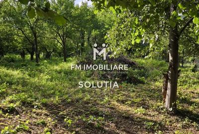 Teren intravilan 10 ari, zona Grigore Ureche, PUZ! - 4