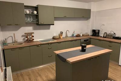 Spațiu comercial, de 450 mp, în Sasca Montană - 2