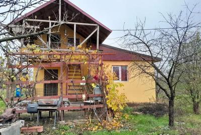 Casă cu 3 camere cu Teren 15000 Mp în Bărcănești - 11