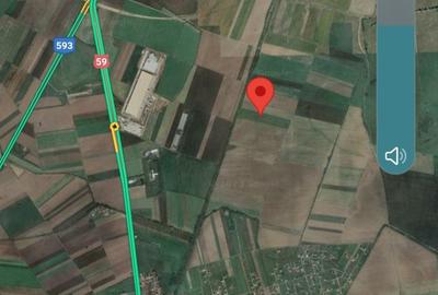 Teren agricol intravilan de 18600 mp, în Șag - 2