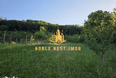 Casă cu 5 camere cu Teren 2500 Mp în Central - 13