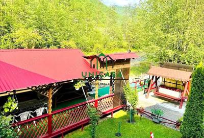 Casa de vacanta / Pensiune / Voineasa - 18