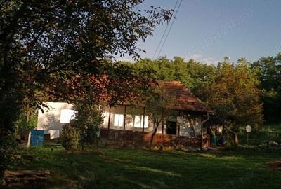 Casă cu 3 camere în Cătina - 4
