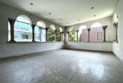 4 rooms ***203 SQM useful*** / 38 SQM terrace + garage / Primaverii - 15