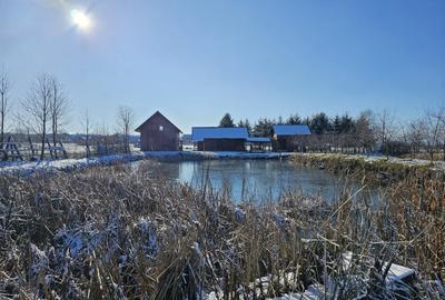 Casa de vacanta cu 6 camere + teren suprafata 7.384 mp, Bradet, Bihor - 3