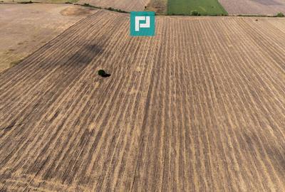 Oportunitate! Teren 4.345 mp - Șagului Oportunitate! Teren 4.345 mp - Șagului - 4