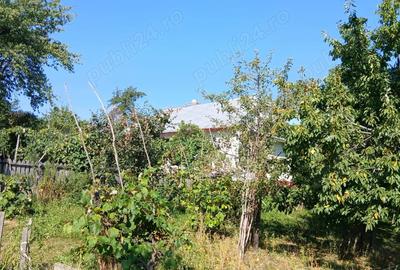 Casa+teren de vanzare in Adancata, Suceava - 7