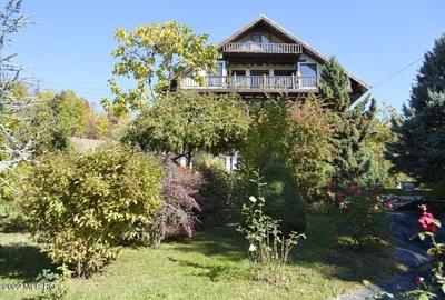 Topoloveni - Conacul Ion Mihalache, Domeniu pe 5 Hectare - 49
