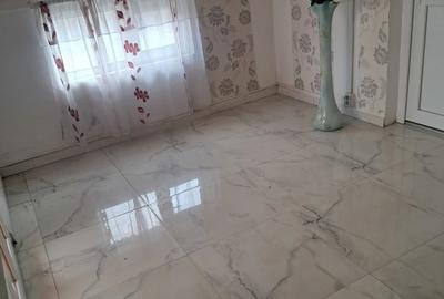 Casă cu 6 camere cu Teren 500 Mp în Arini - 1