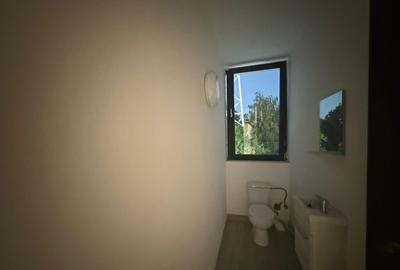 Spatiu comercial de inchiriat, Bragadiru - 12
