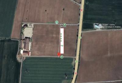 Teren de 5000 mp, în Săftica - 1