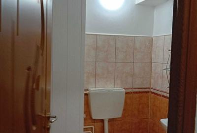 Apartament cu 2 camere în Calea Caransebeșului - 10