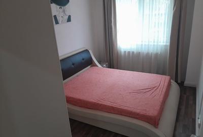 Apartament cu 2 camere decomandat, mobilat în Timișoara - 3