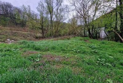 Resita Teren drept in Govandari cu PUZ 2080 Mp.pentru casa, hala, etc - 1