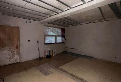 Doamna Ghica aproape de rond Doamna Ghica si Parc Plumbuita - 6