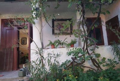 Casa de vanzare sat Babsa - 7