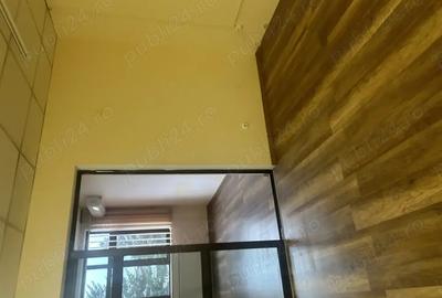 Proprietar inchiriez imobil cu multiple destinatii, zona Casa Presei Libere, 580m utili, 840m teren. - 4