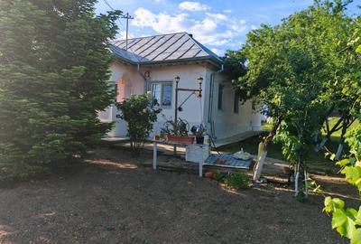 Casă cu 4 camere cu Teren 3000 Mp în Central - 2