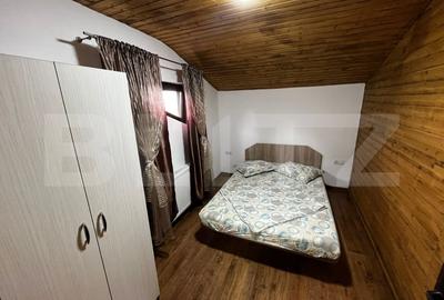 Cabana complet echipata in Baile Figa - 5 dormitoare, 2 bai, aer conditionat - 13