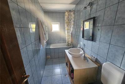 Apartament cu 3 camere semidecomandat în Calea Caransebeșului - 8