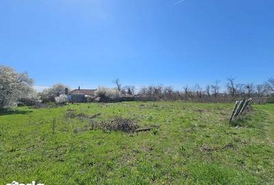 Teren de 2000 mp, în Topraisar - 1