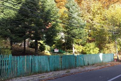 Casa si teren 1000 mp, Sinaia, zona excelenta, pe Furnica, langa Peles - 3