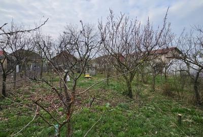 Casă individuală cu 3 camere cu Teren 1400 Mp în Giarmata - 6