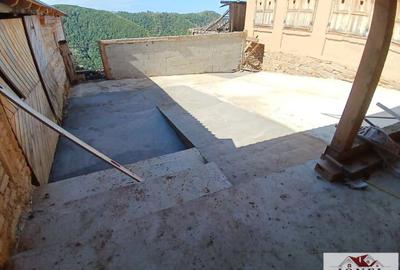 Casa de vanzare in comuna Sasciori cu 84.843 mp teren - 7